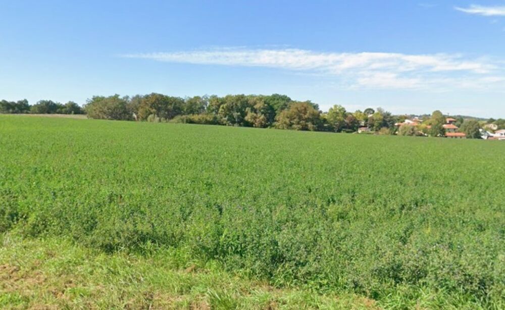 vente Maison - 3 pièce(s) - 50 m² Saint-Orens-de-Gameville (31650)