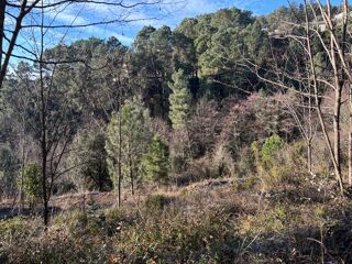  Terrain 4000 m� Joyeuse