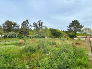  Terrain � vendre 416 m�