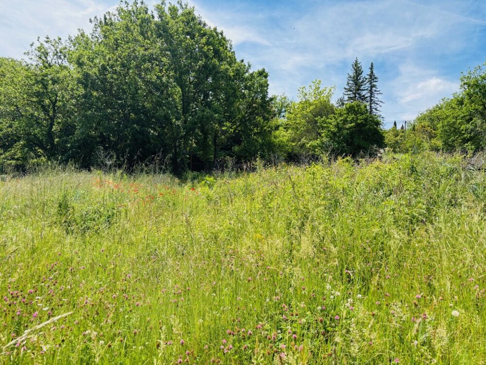 vente Terrain - 1500 m² Montmeyan (83670)