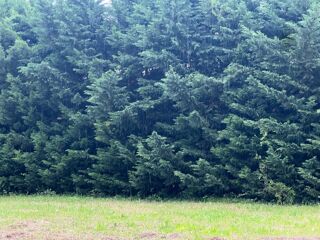  Terrain  vendre 1000 m