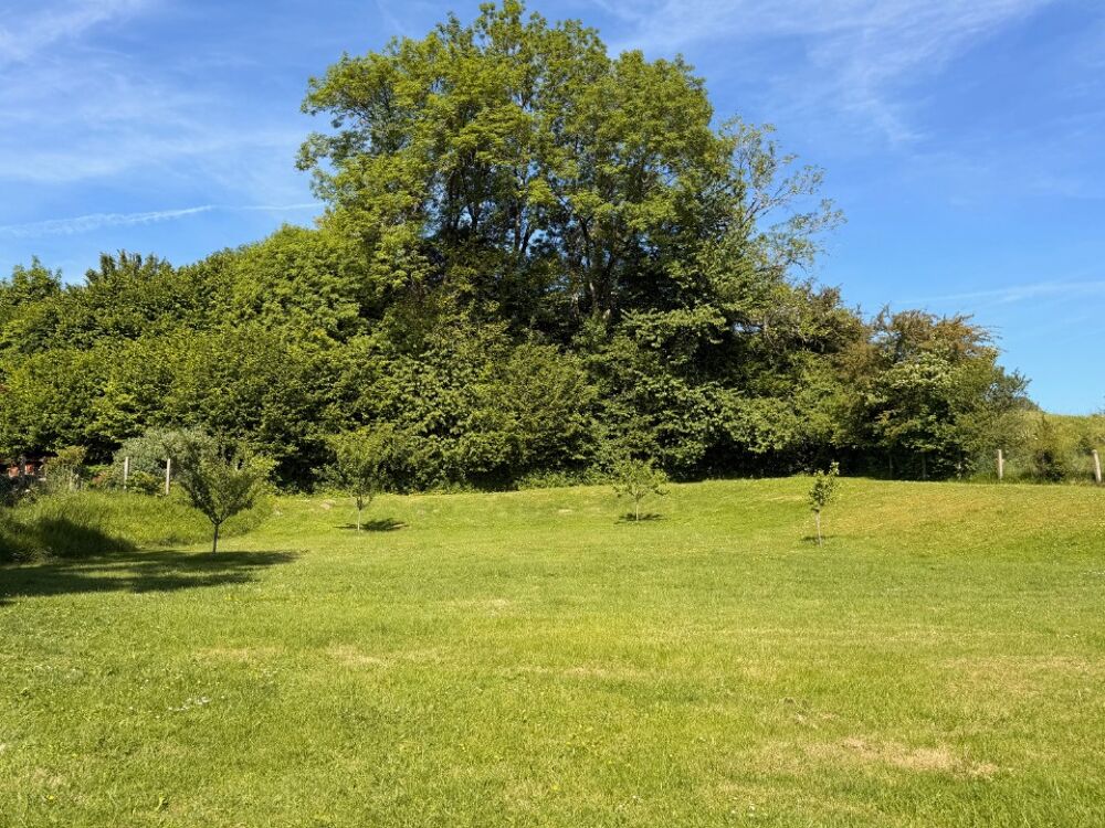 vente Terrain - 1300 m² Naucelles (15250)
