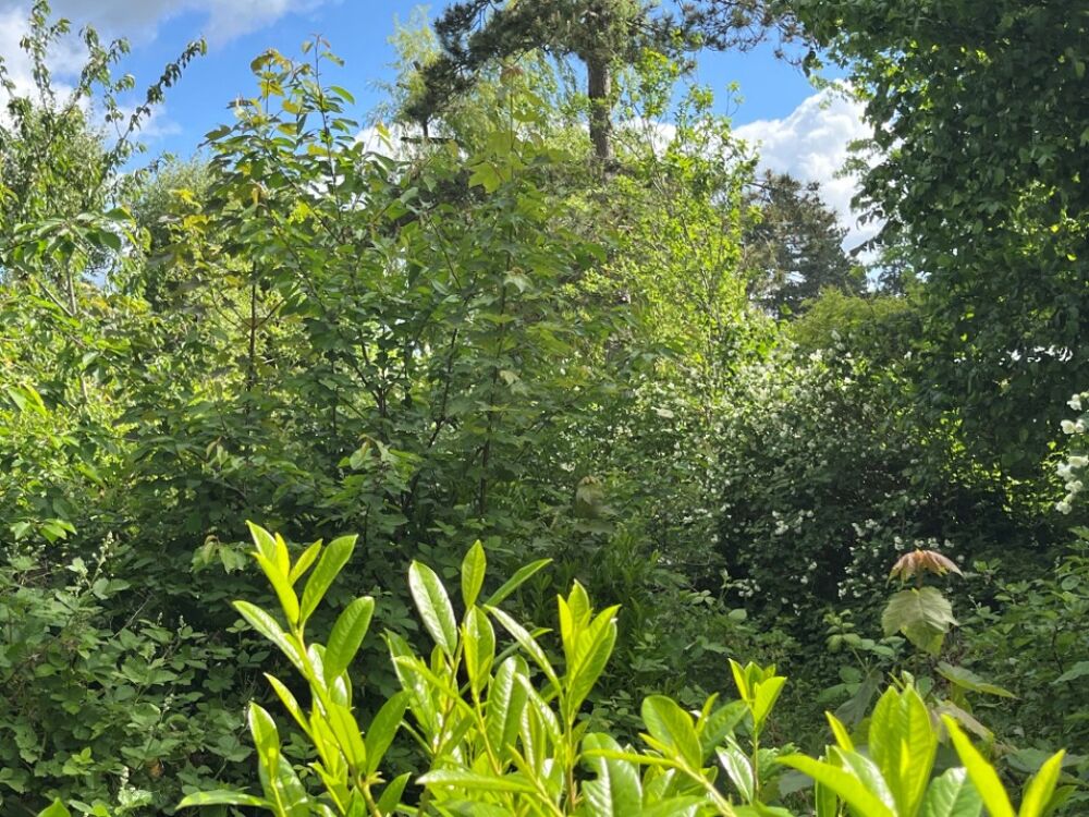 vente Maison - 6 pièce(s) - 115 m² Abbeville (80100)