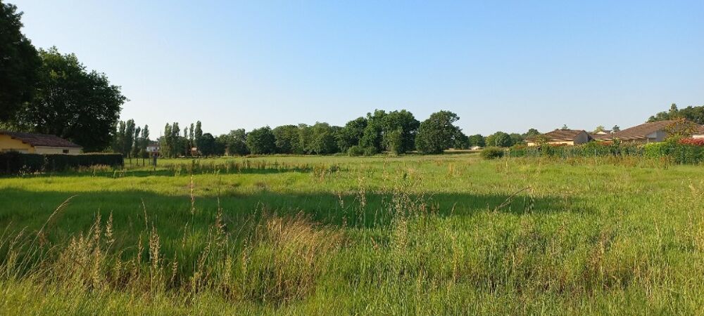 vente Terrain - 1500 m² Montpon-Ménestérol (24700)