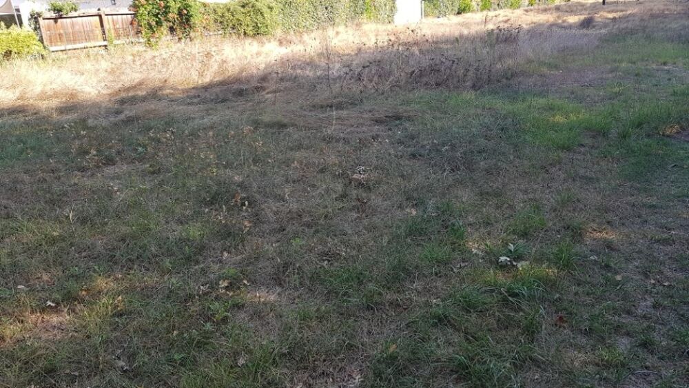 vente Maison - 4 pièce(s) - 90 m² Eysines (33320)