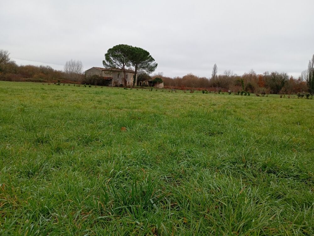 vente Maison - 4 pièce(s) - 80 m² Mérignas (33350)