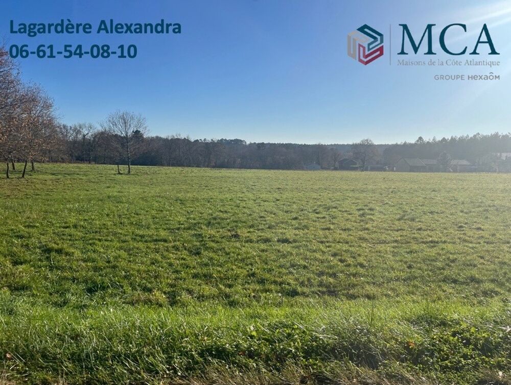 vente Terrain - 1000 m² Casteljaloux (47700)
