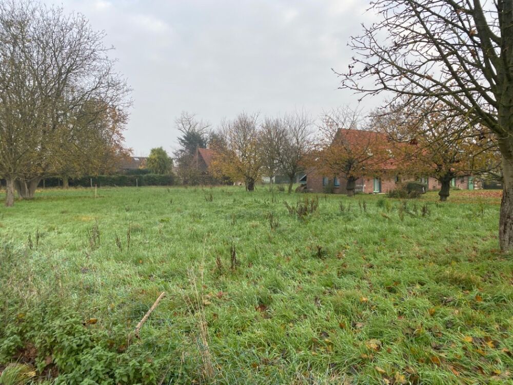 vente Maison - 5 pièce(s) - 130 m² Cysoing (59830)