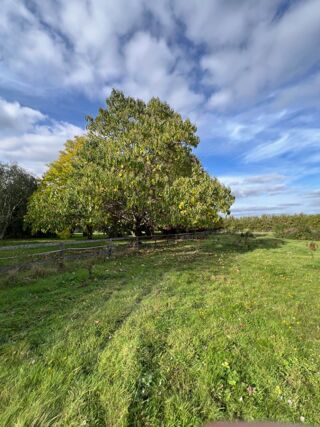  Terrain � vendre 600 m�