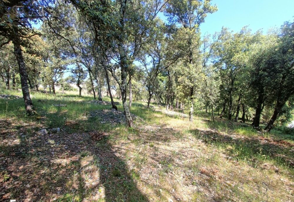 vente Maison - 5 pièce(s) - 155 m² Le Thoronet (83340)