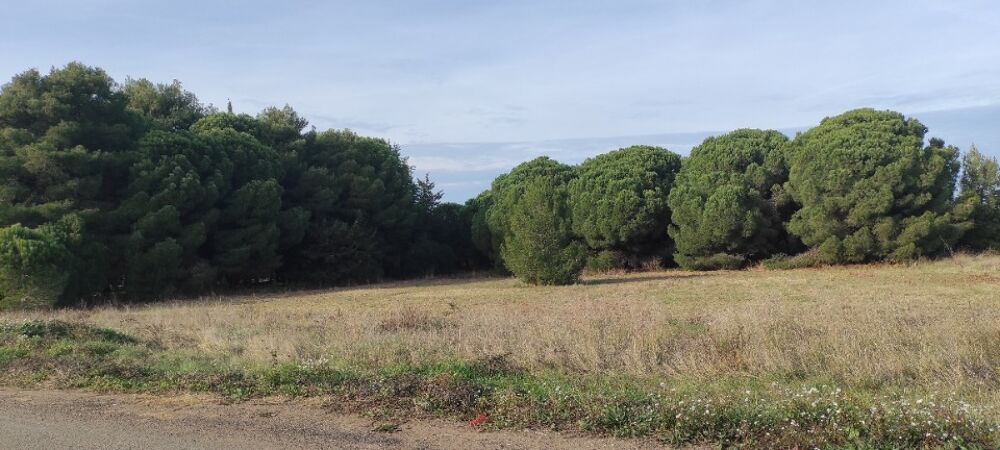 vente Terrain - 350 m² Autignac (34480)