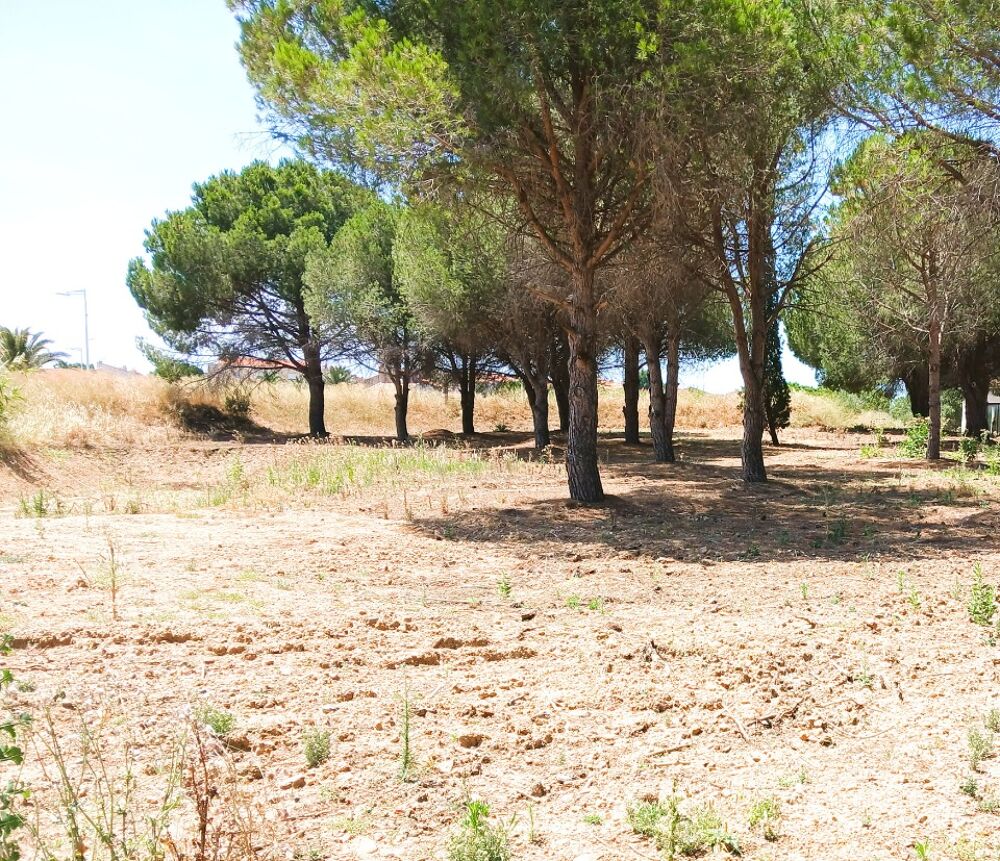 MAISON À CONSTRUIRE DE 110 M² À PERPIGNAN, 5 PIÈCES, EMP....