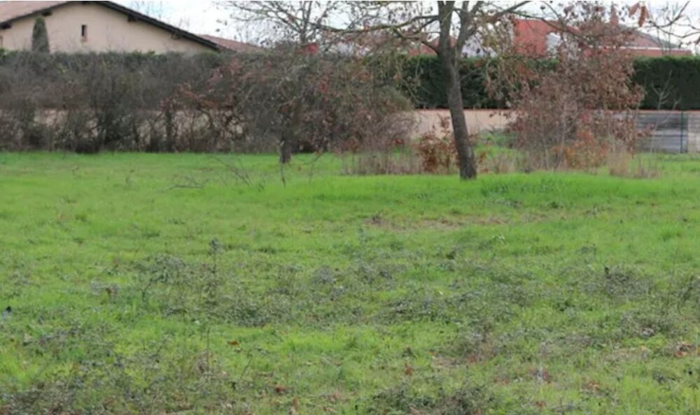 vente Maison - 5 pi�ce(s) - 120 m� Cugnaux (31270)