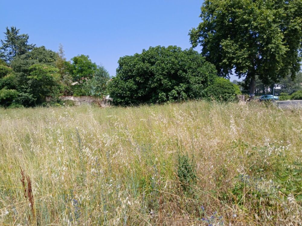 MAISON À CONSTRUIRE DE 115 M² À SAINT-GENIÈS-DES-MOURGUE....
