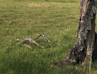  Terrain � vendre 3346 m�