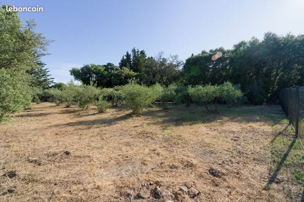 vente Maison - 4 pièce(s) - 85 m² Villevieille (30250)