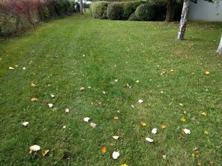  Terrain � vendre 373 m�