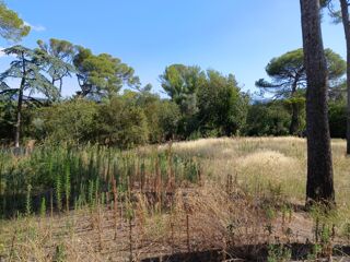  Terrain � vendre 900 m�