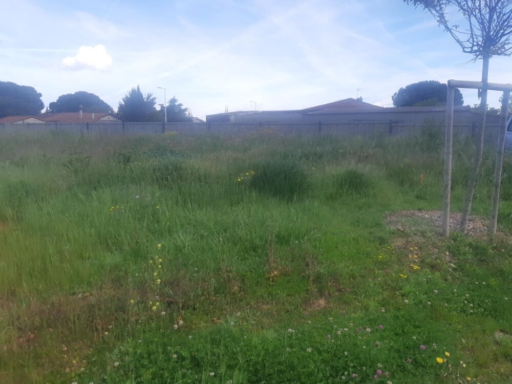 vente Terrain - 450 m² Lespinasse (31150)