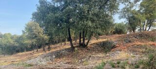  Maison 6 pi�ces 93 m� Mondragon