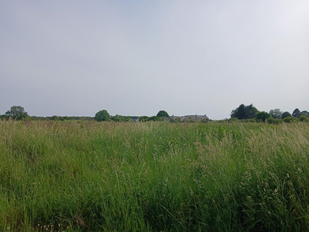 vente Terrain - 400 m² Formigny (14710)