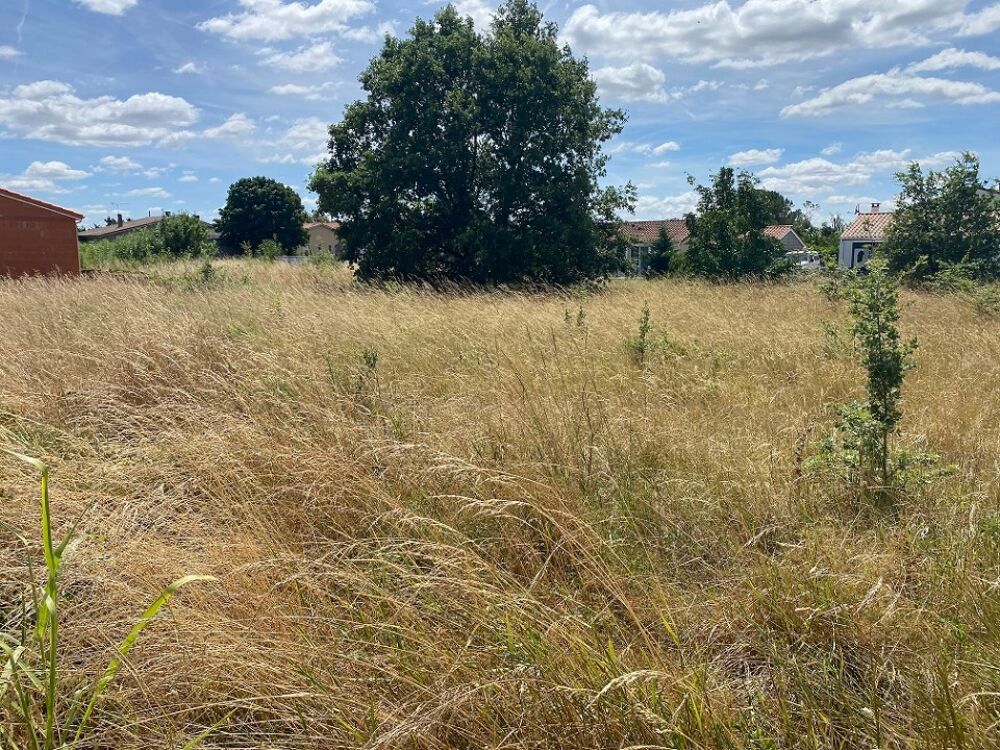 vente Maison - 4 pièce(s) - 90 m² Dieupentale (82170)