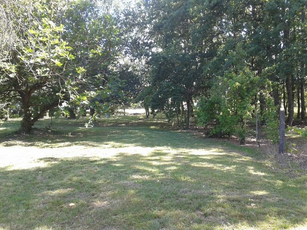 vente Maison - 4 pièce(s) - 151 m² Fonsorbes (31470)