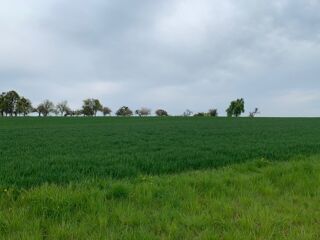  Terrain � vendre 498 m�