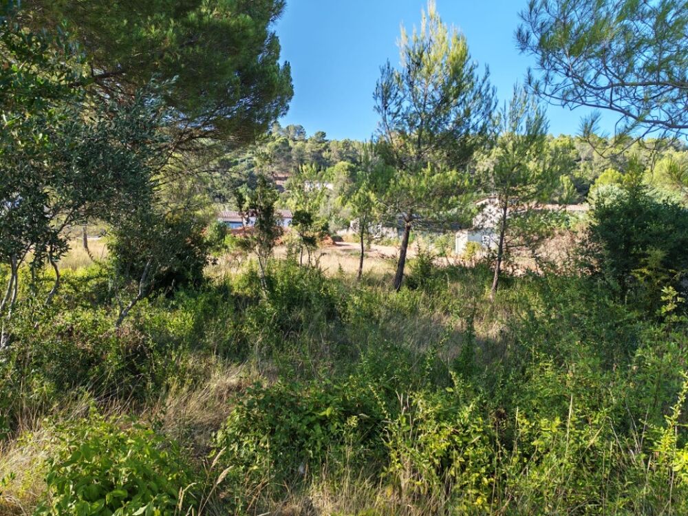 vente Terrain - 900 m² Camps-la-Source (83170)