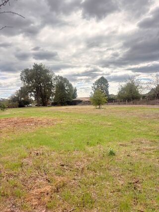  Terrain à vendre 800 m²