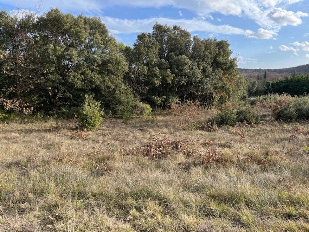 vente Terrain - 785 m² Grignan (26230)