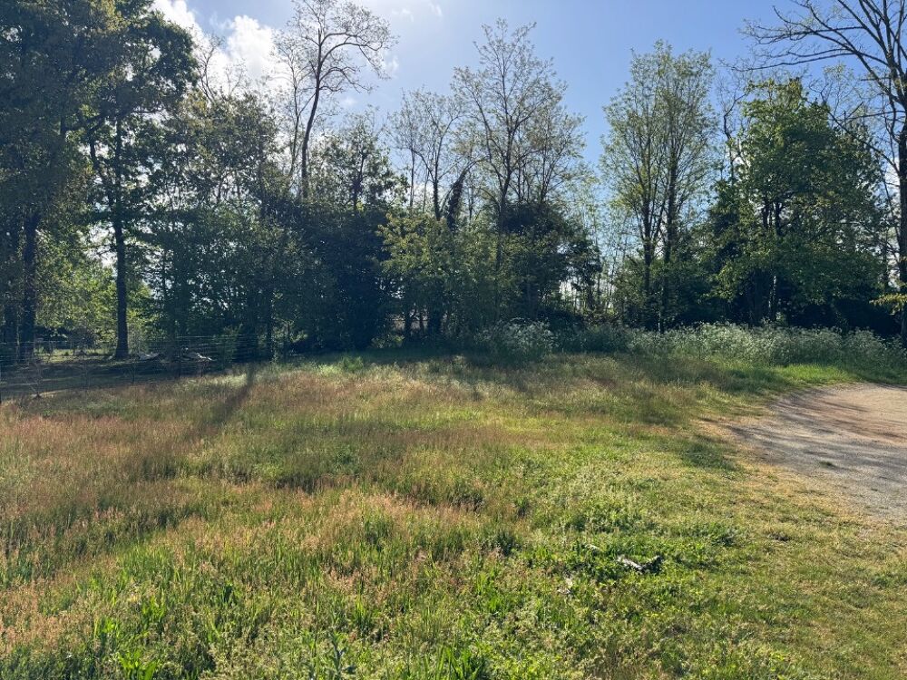 vente Terrain - 576 m² Lesparre-Médoc (33340)