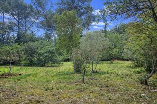  Terrain à vendre 1001 m²