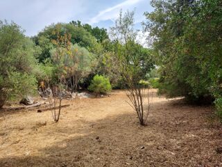  Terrain � vendre 970 m�