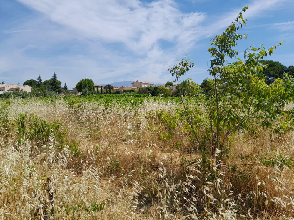 vente Terrain - 1368 m² Castillon-du-Gard (30210)