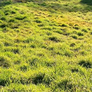  Maison � vendre 4 pi�ces 139 m�