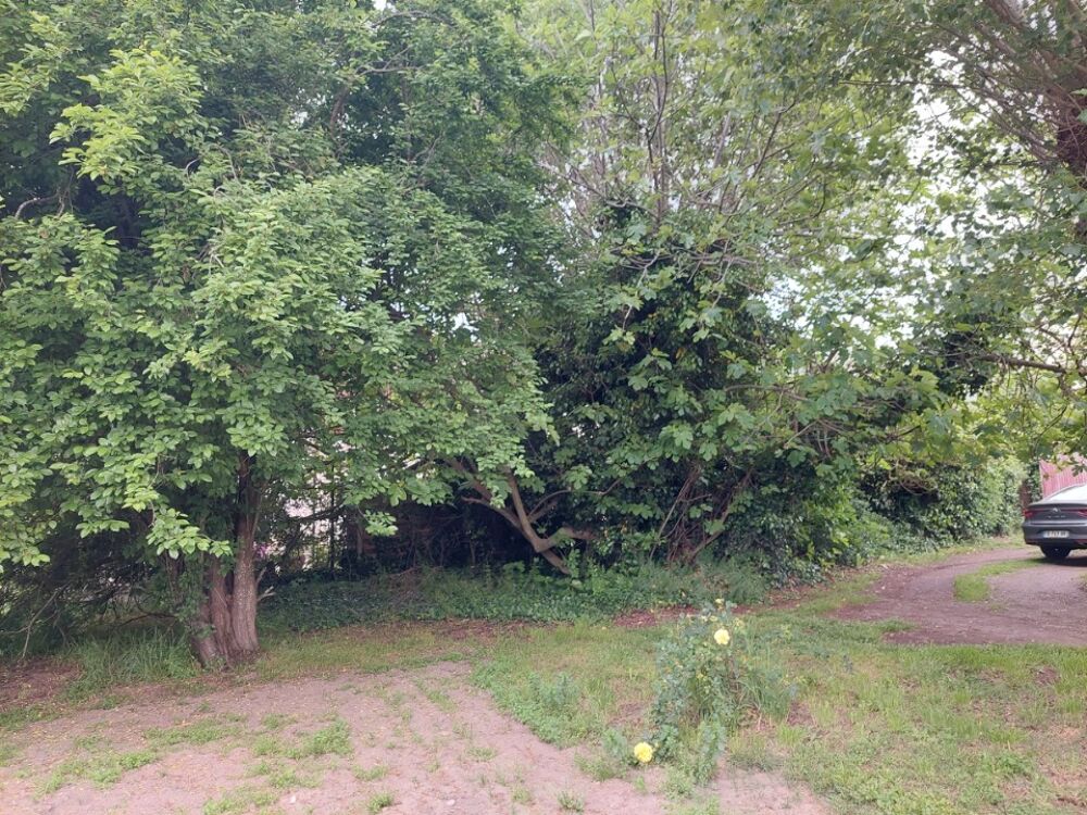 vente Terrain - 325 m² Launaguet (31140)