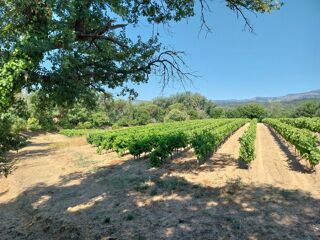  Terrain 544 m� Cogolin