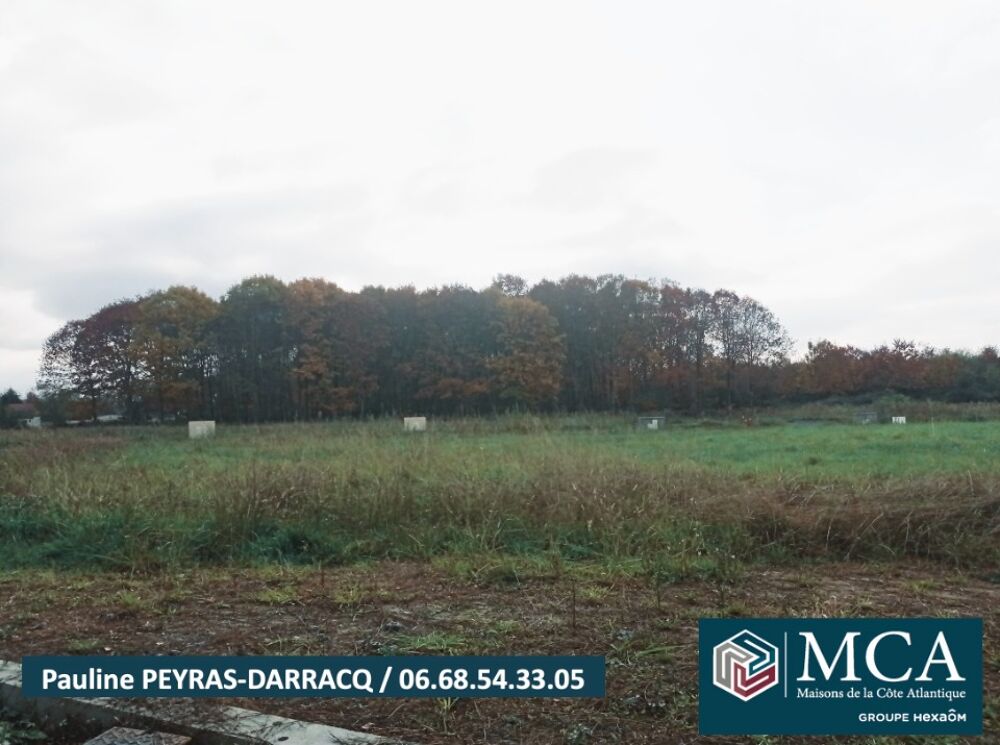 vente Terrain - 751 m² Argagnon (64300)