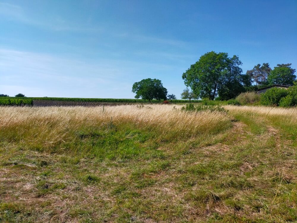 vente Terrain - 1000 m² Louzac-Saint-André (16100)