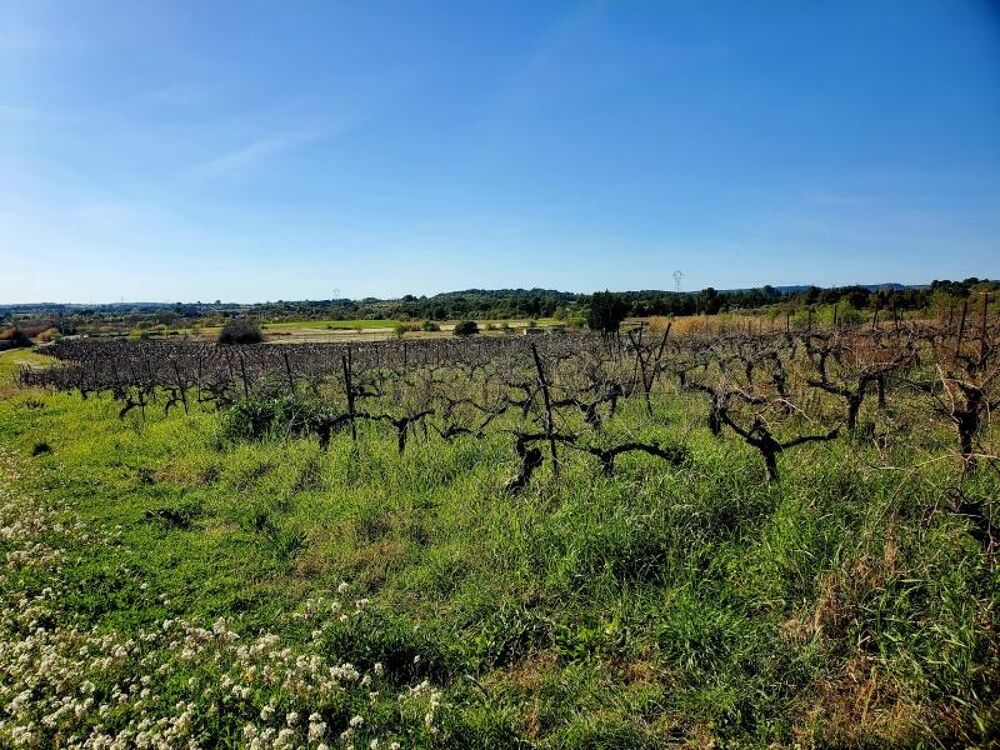 vente Maison - 5 pièce(s) - 107 m² Loupian (34140)