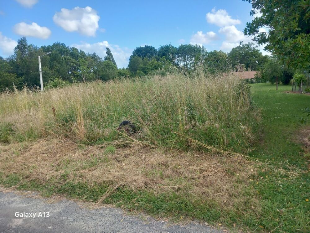 vente Terrain - 2219 m² Sousmoulins (17130)