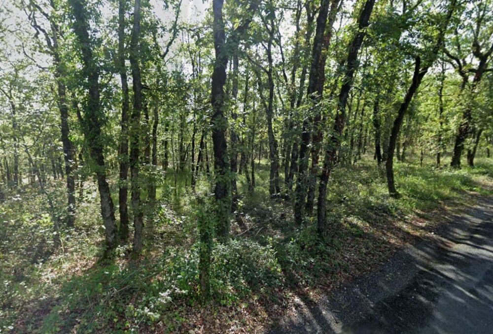 vente Terrain - 1700 m² Chasteaux (19600)