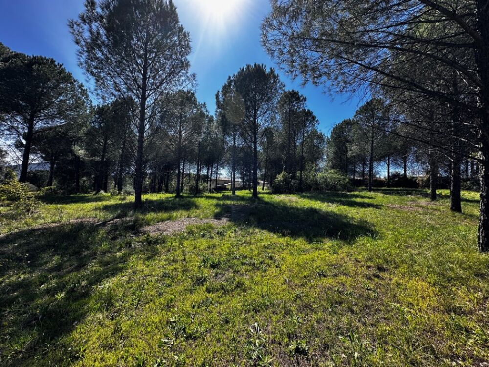 vente Terrain - 500 m² Roquebrune-sur-Argens (83520)