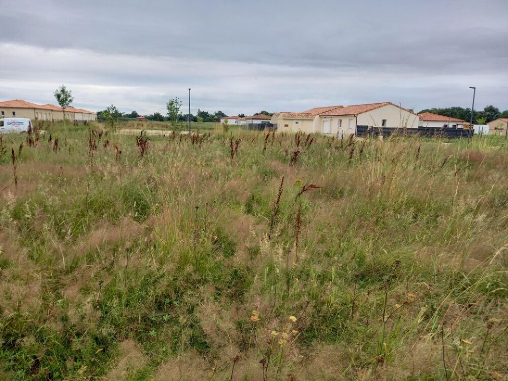 vente Maison - 4 pièce(s) - 90 m² Montbeton (82290)