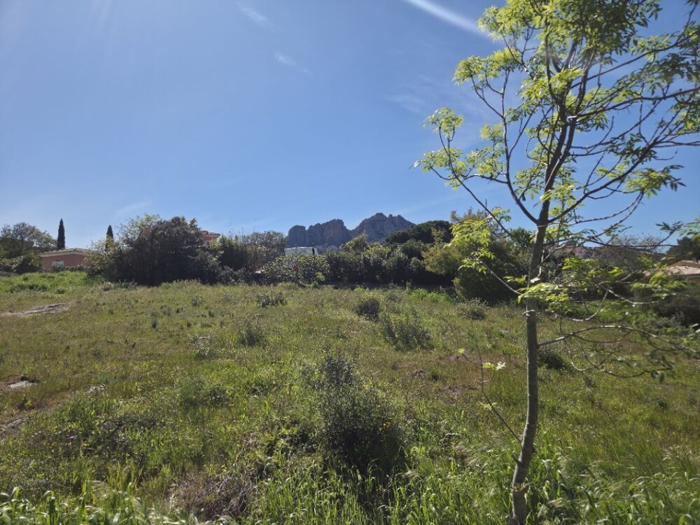 vente Terrain - 662 m² Roquebrune-sur-Argens (83520)