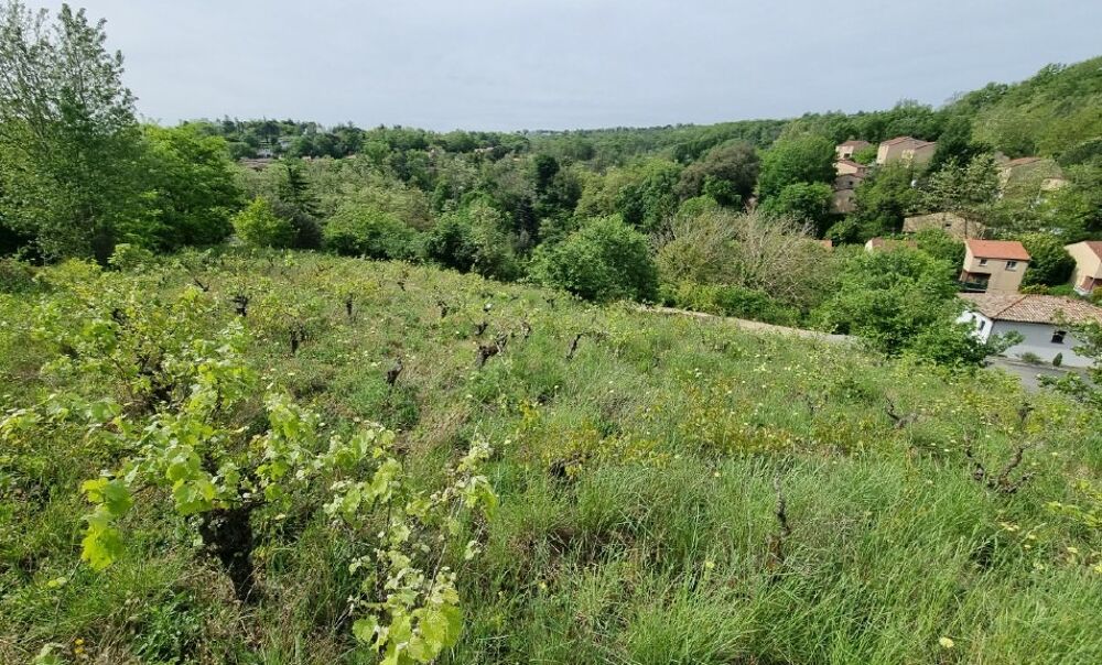 vente Maison - 5 pièce(s) - 98 m² Castanet-Tolosan (31320)