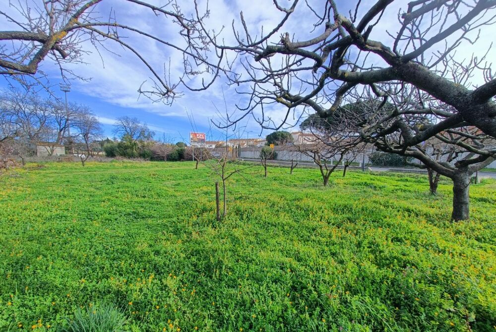 vente Maison - 4 pièce(s) - 85 m² Puget-sur-Argens (83480)