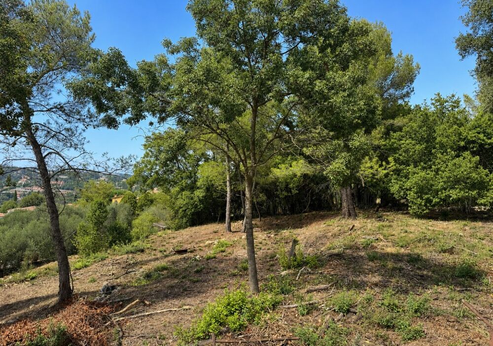 vente Terrain - 1638 m² Mouans-Sartoux (06370)