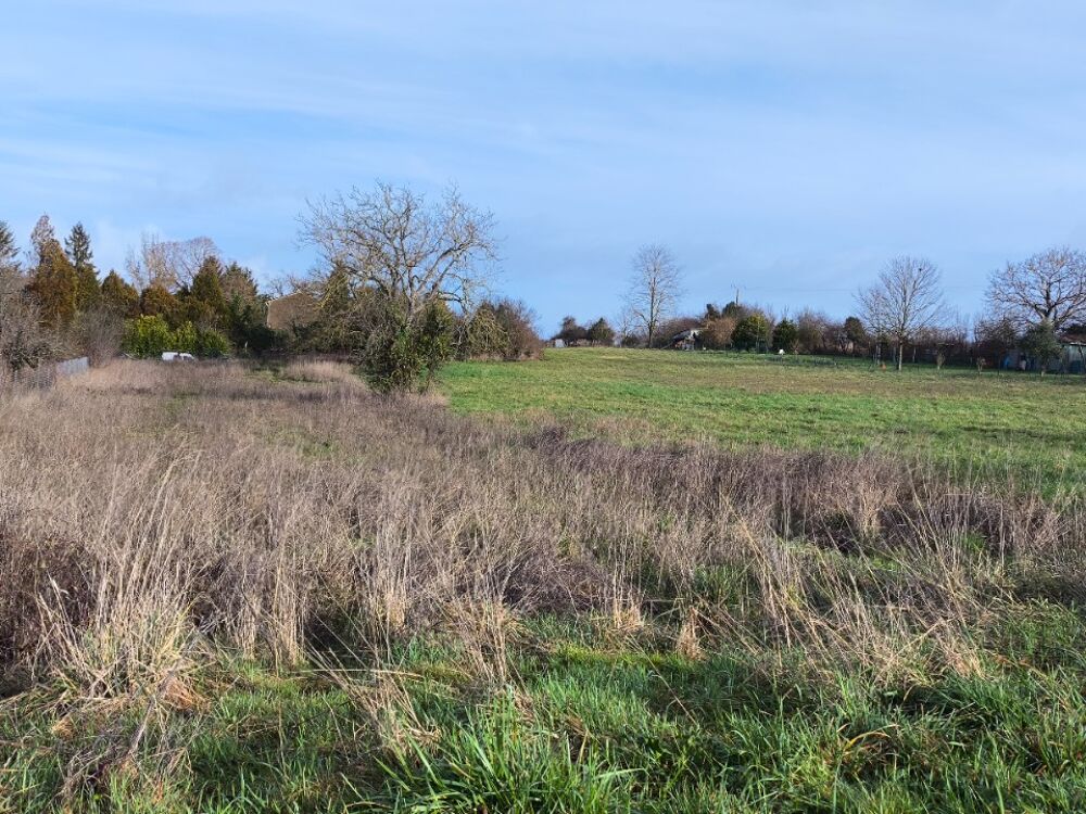 vente Terrain - 1159 m² Salles-d'Angles (16130)